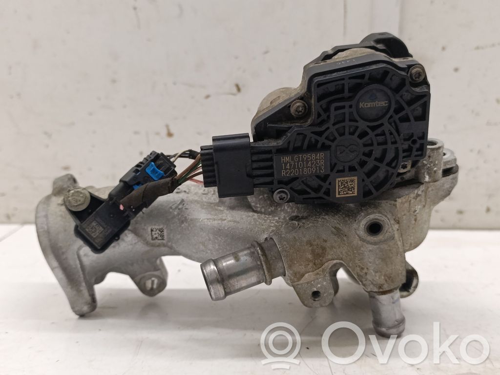 Dacia Duster II Válvula EGR 