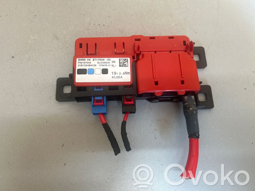 BMW iX3 G08 Positive wiring loom 