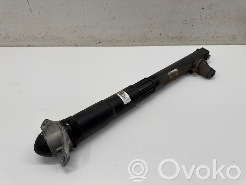 Cupra Leon Stoßdämpfer hinten 