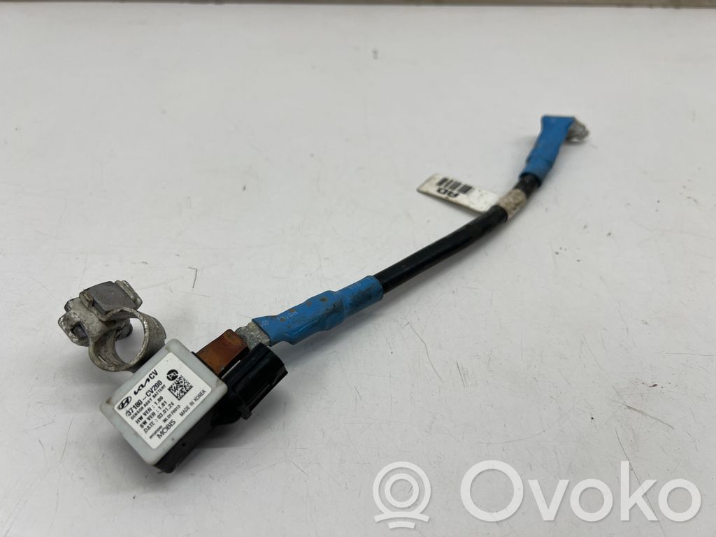 KIA EV6 Cable negativo de tierra (batería) 