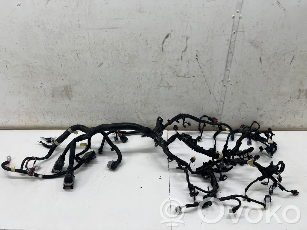 Cablaj motor   240113464S