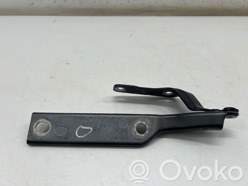 Engine bonnet/hood hinges   5FA823302
