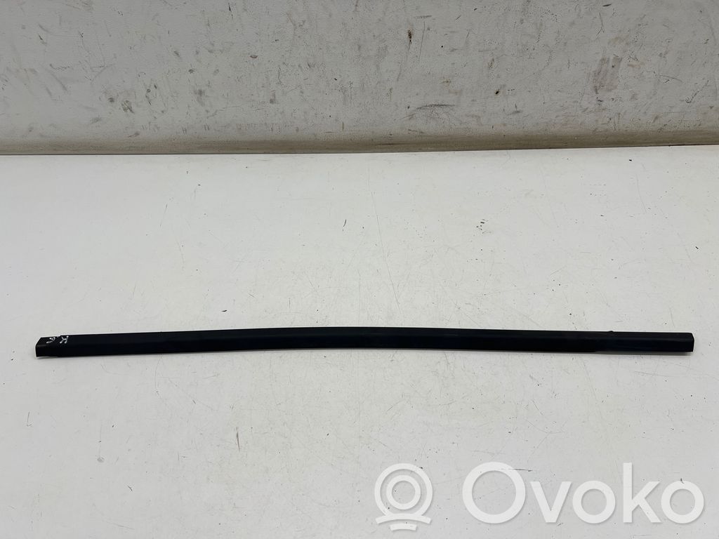 Ornament geam ușă spate   10A839477