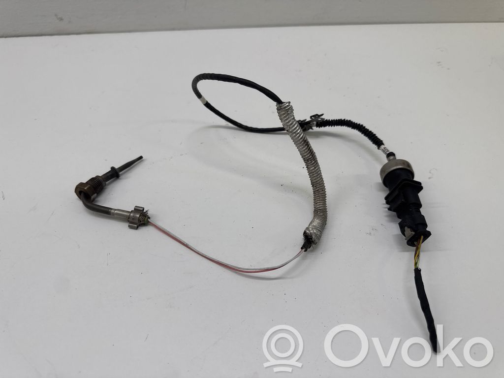 Cupra Ateca Abgastemperatursensor