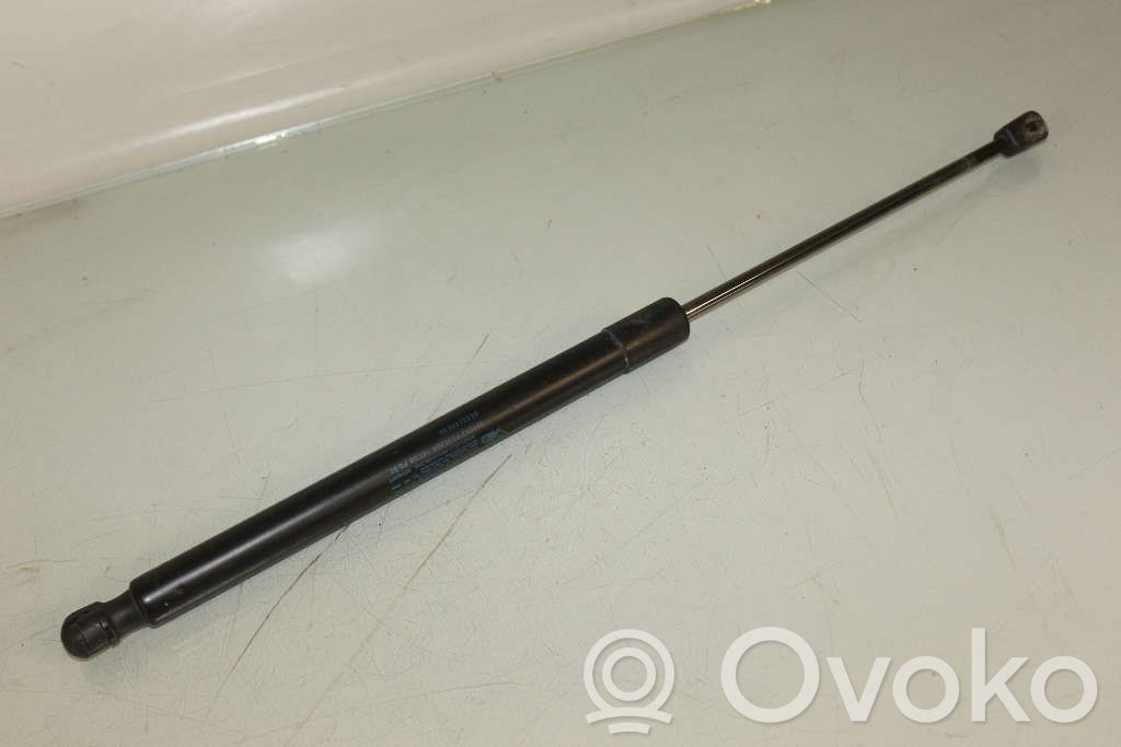 Tailgate strut   8731R6,9682256580