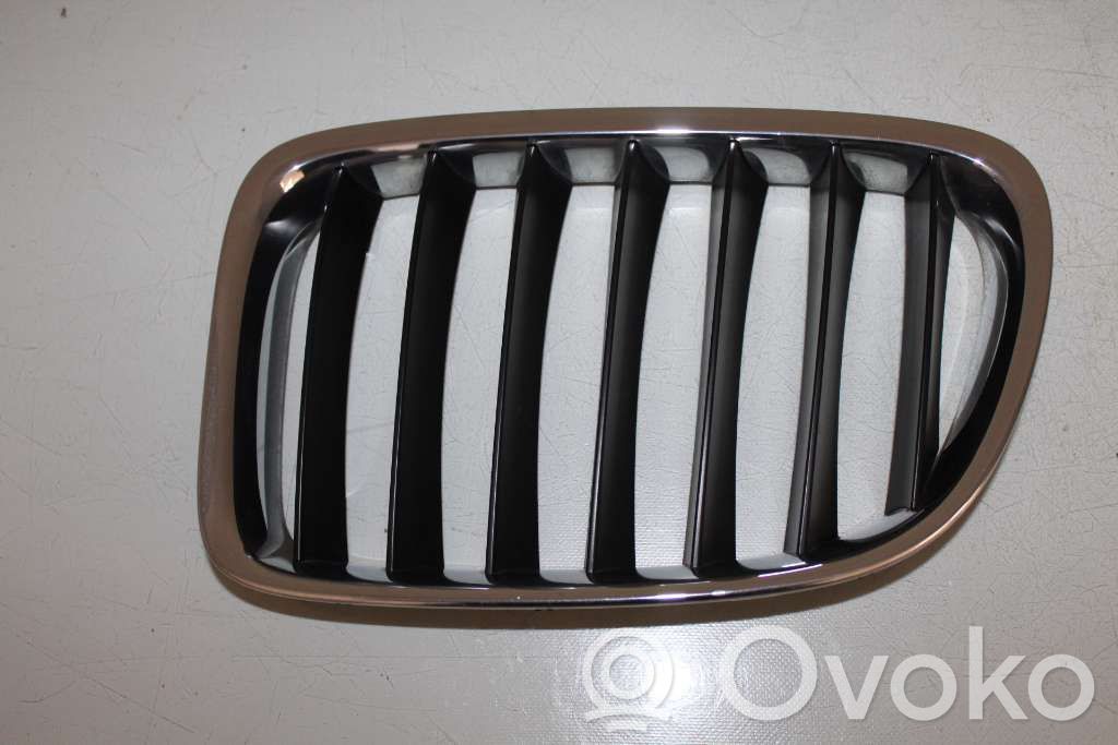 BMW X1 E84 Kratka dolna zderzaka przedniego 