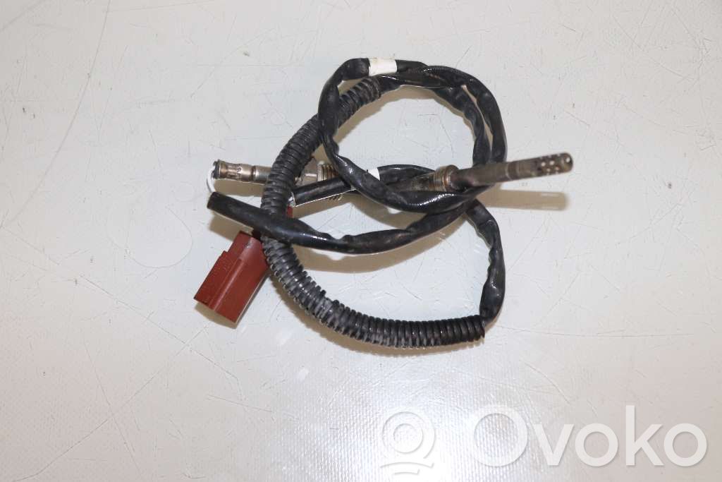 Volkswagen Amarok Exhaust gas temperature sensor 