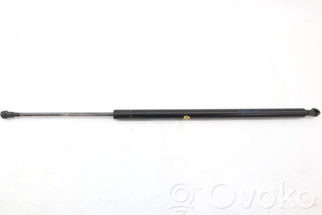 Tailgate strut   51243400379