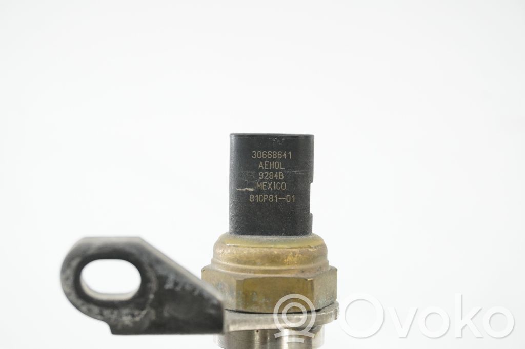 Abgastemperatursensor   30668641,30668641