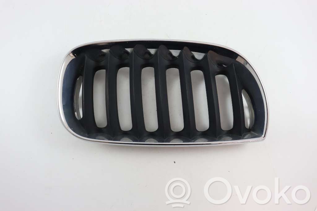 BMW X3 E83 Front bumper lower grill 