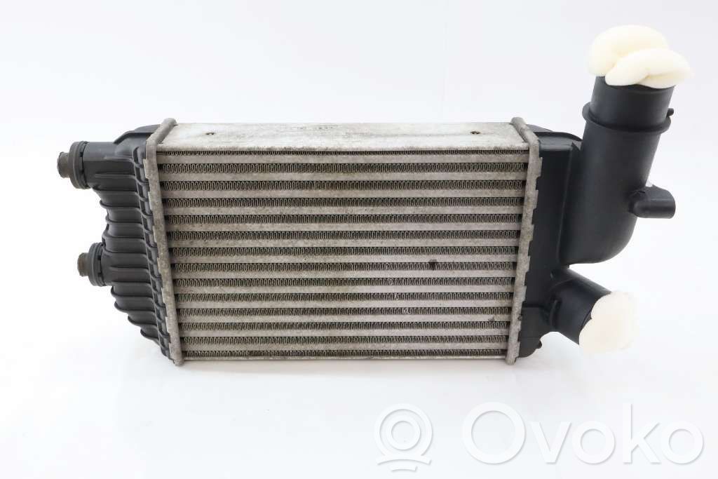 Intercooler radiator   1319508,1307012080