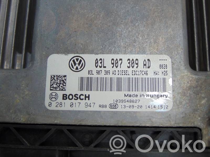 Volkswagen Caddy Engine control unit/module 