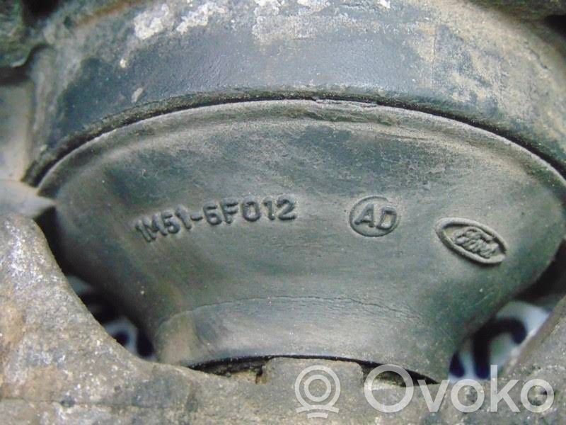 Ford Focus Variklio pagalvė 