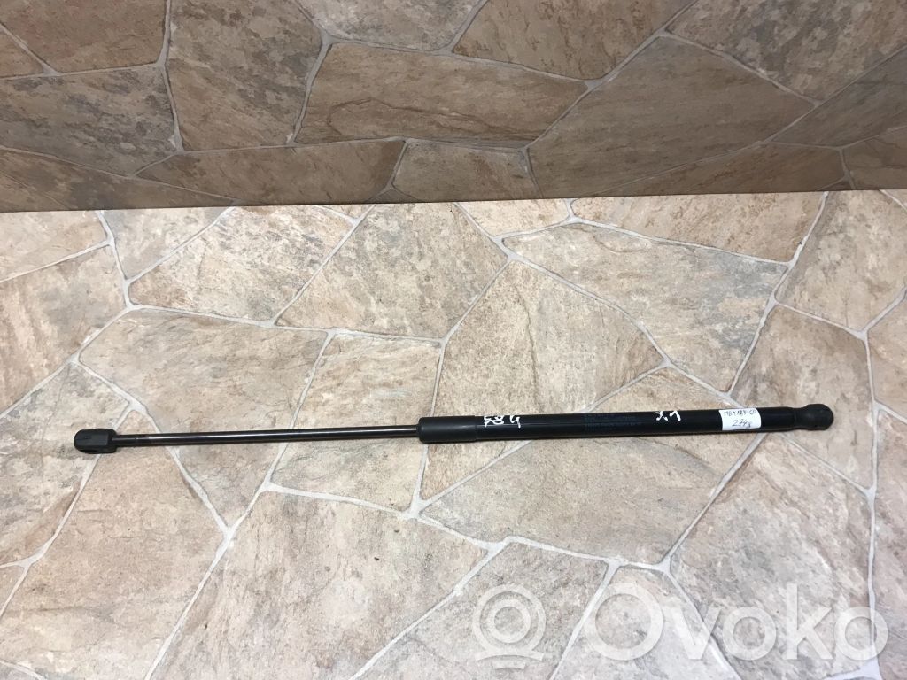 BMW X1 E84 Tailgate/trunk strut/damper 