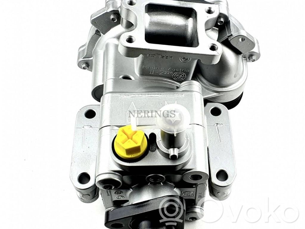 BMW 3 E46 Vairo stiprintuvo siurblys 