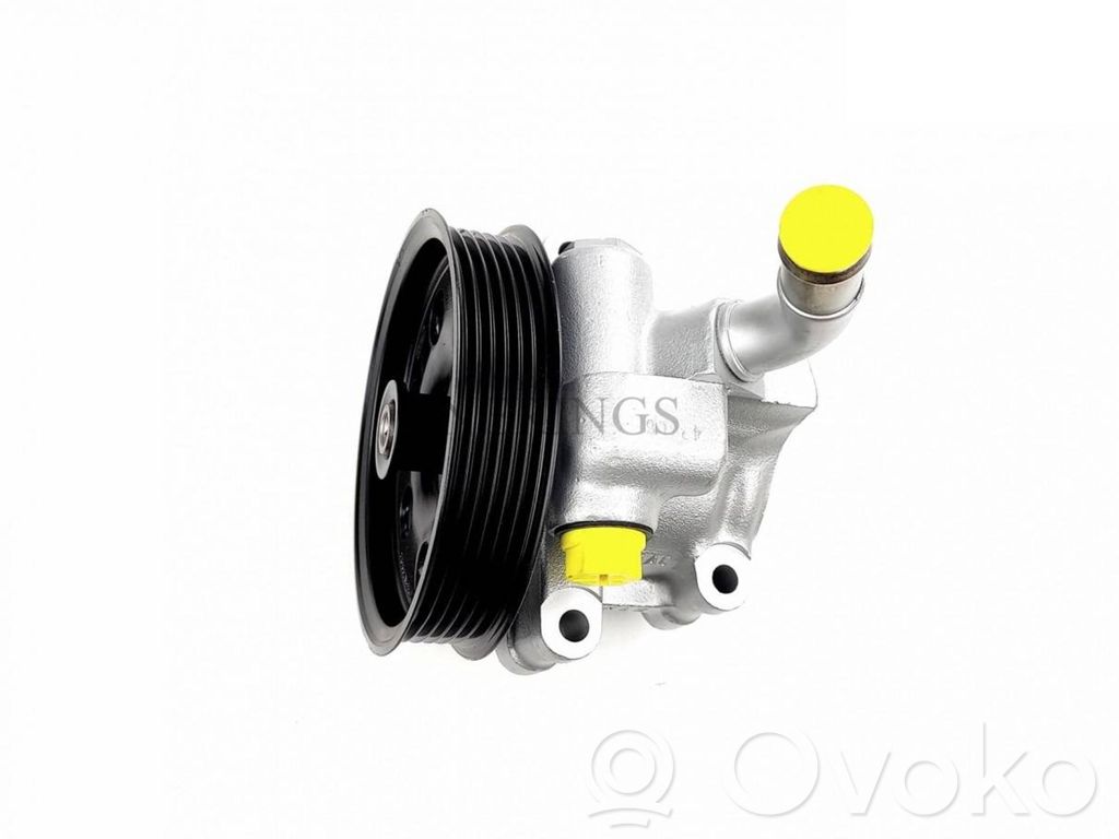 Ford Focus Power steering pump 