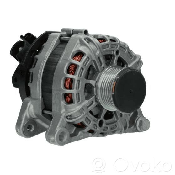 Generatorius   NRG12S010,A3472VALEO,1608064580,1612380080,1619607980,1624230480,1637302880,1648232180,1686437380,200288,209223,2625767,27060YV030,288580,32005034,3556513,3648696,440350,443017,5515387,554553RI,554553RIV,95526495,9670899580,9809391880,9809870480,9810971880,9818677980,9826574080,A12VA0250,A12VA0250AS,A2110V,ACH9022S,ALT148KUHN,CAL15590AS,CAL15590GS,ELSTOCK,GM,H5515387,NRG12S010,NRG12S010VALEOOEM,NRG42080,NRGV2,STX101618R,VALEO,WG2471784