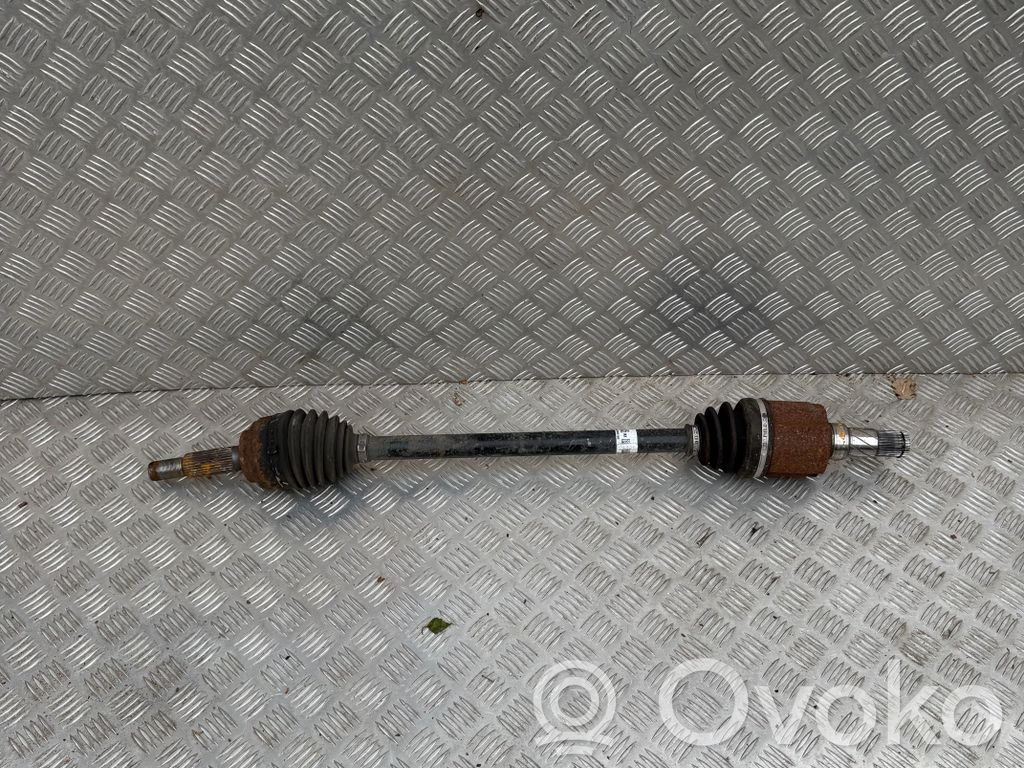Tesla Model X Galinis pusašis 