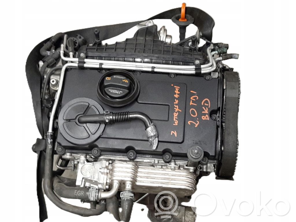 Volkswagen Golf V Engine 