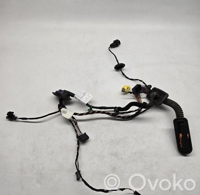 Volkswagen Tiguan Cablaggio porta anteriore