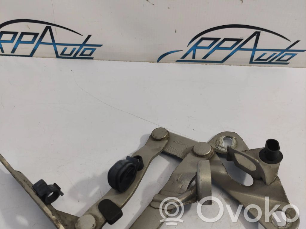 Volkswagen Sharan Balamale capotă 