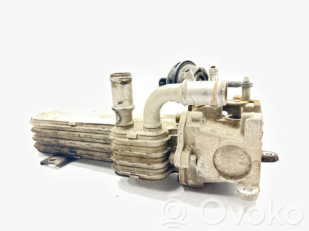 Volkswagen PASSAT B6 Chłodnica spalin EGR 