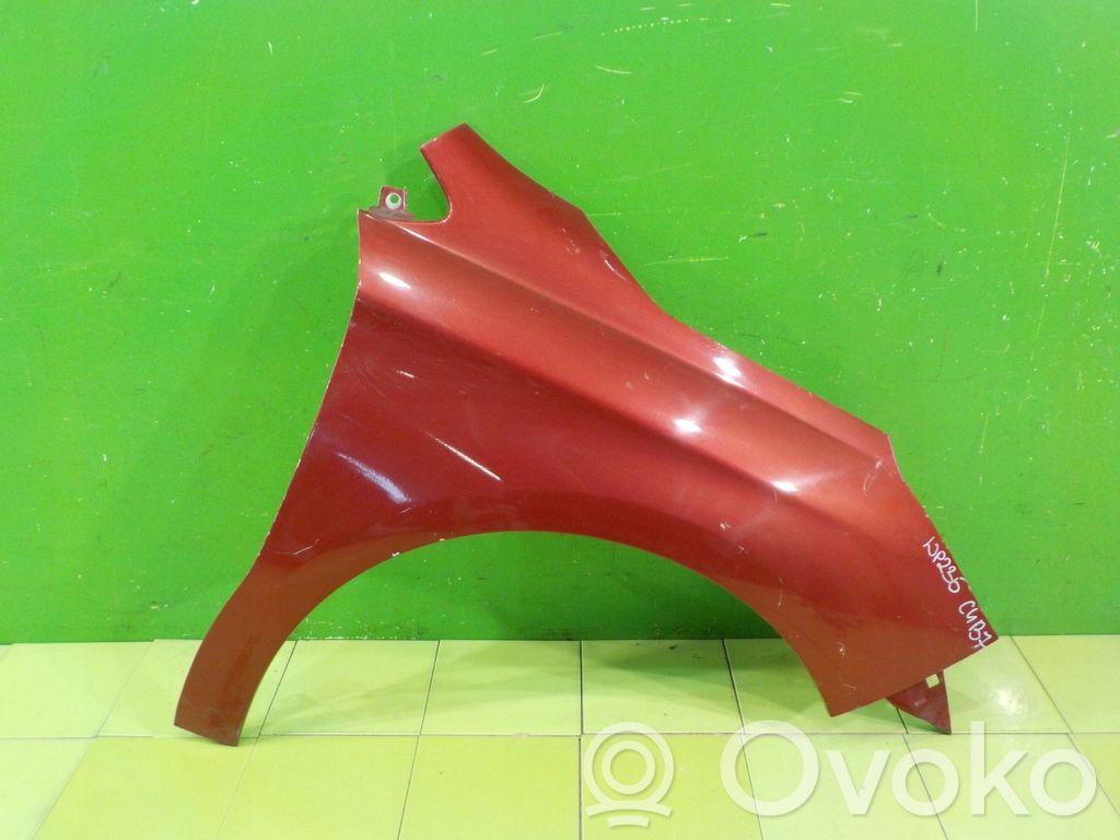 Citroen C4 II Fender 