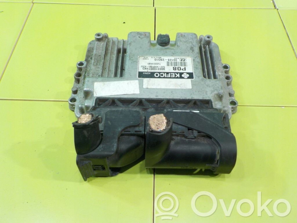 Engine control unit/module   391282B310,17AB200,2B310,39128,391282B310,9003100074KD