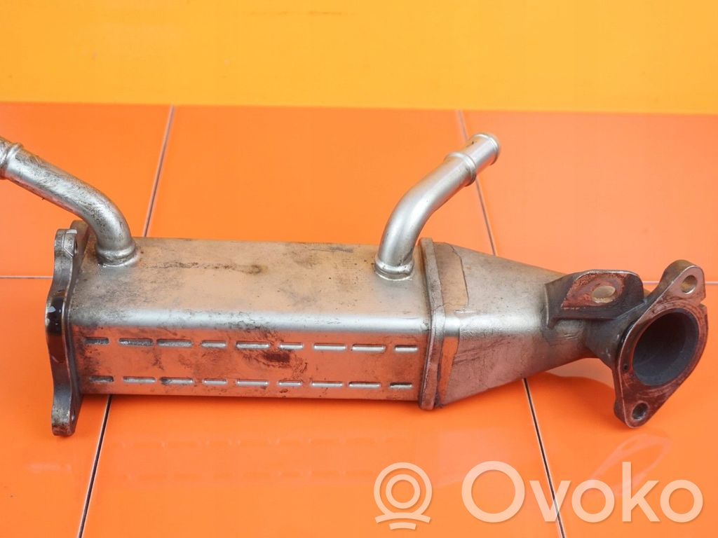 Citroen Jumper Refrigerador de la válvula EGR 