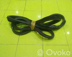 Citroen Nemo Front door rubber seal