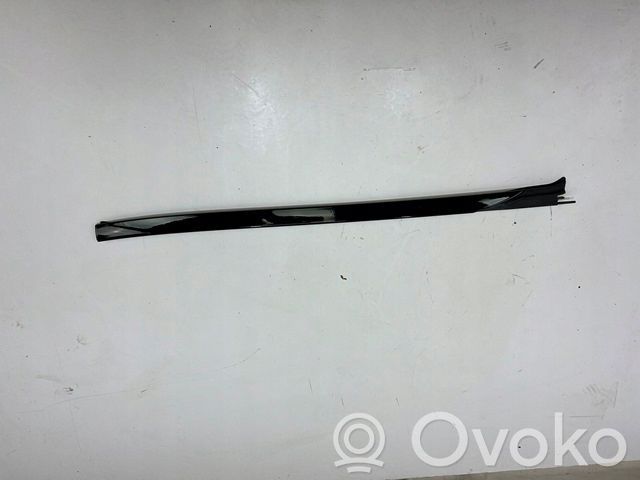 Windshield trim   7463528