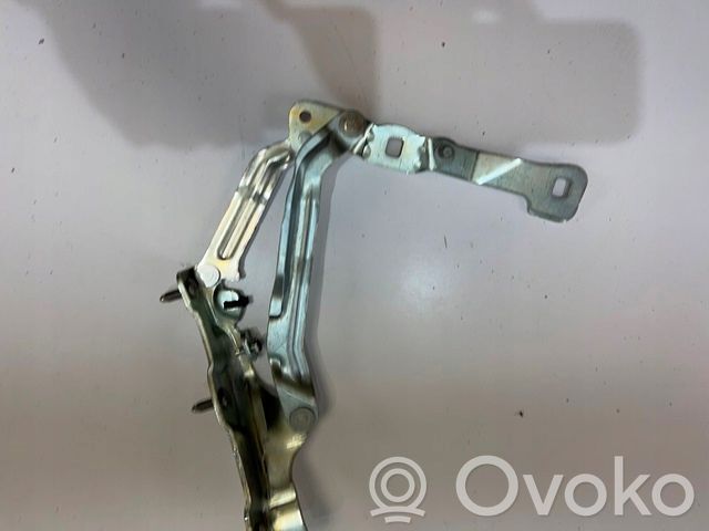 Tesla Model 3 Tailgate/trunk/boot hinge 