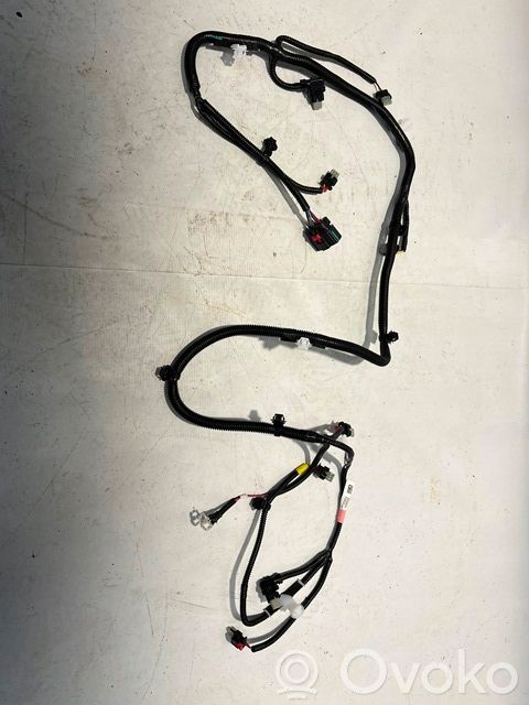 Cableado del sensor de aparcamiento (PDC)   206795800B,2067958,206795800B