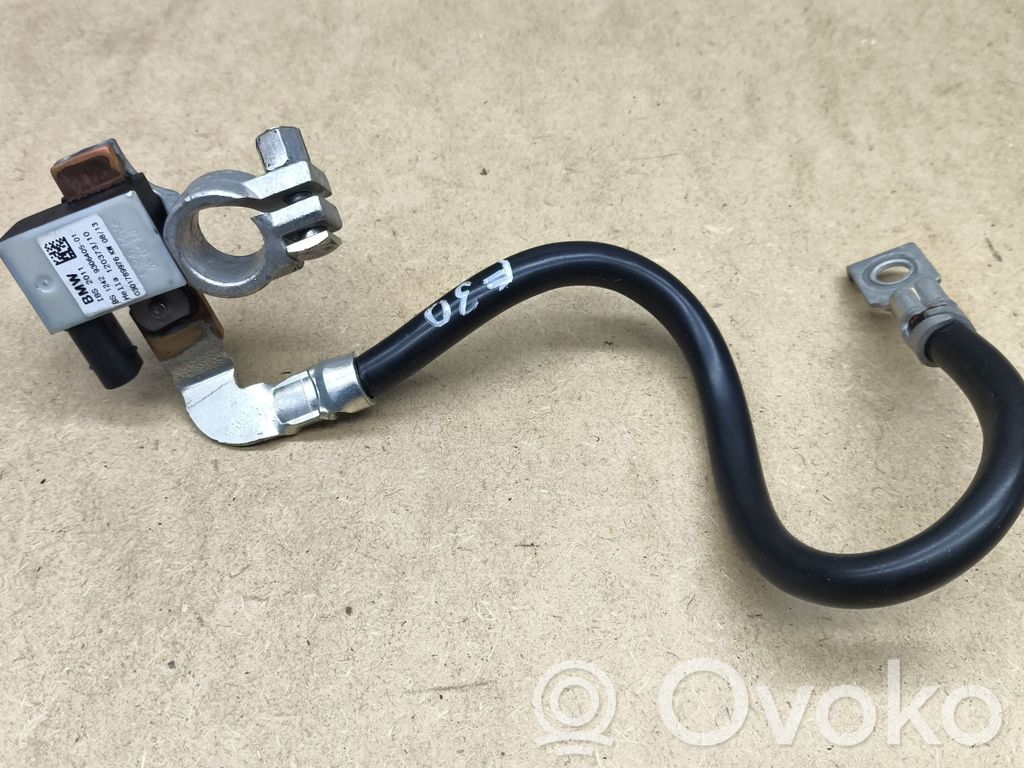 BMW 3 F30 F35 F31 Negative earth cable (battery) 