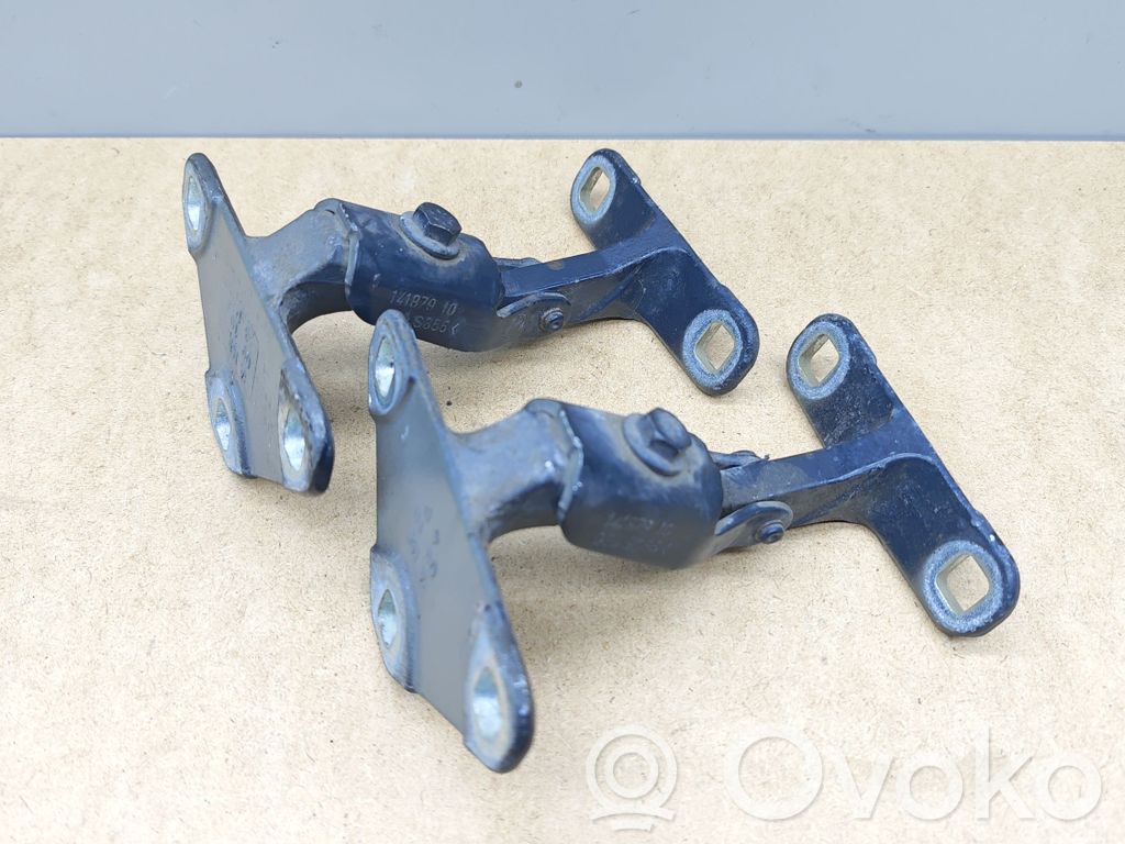 Tailgate/trunk/boot hinge   141879,DES355