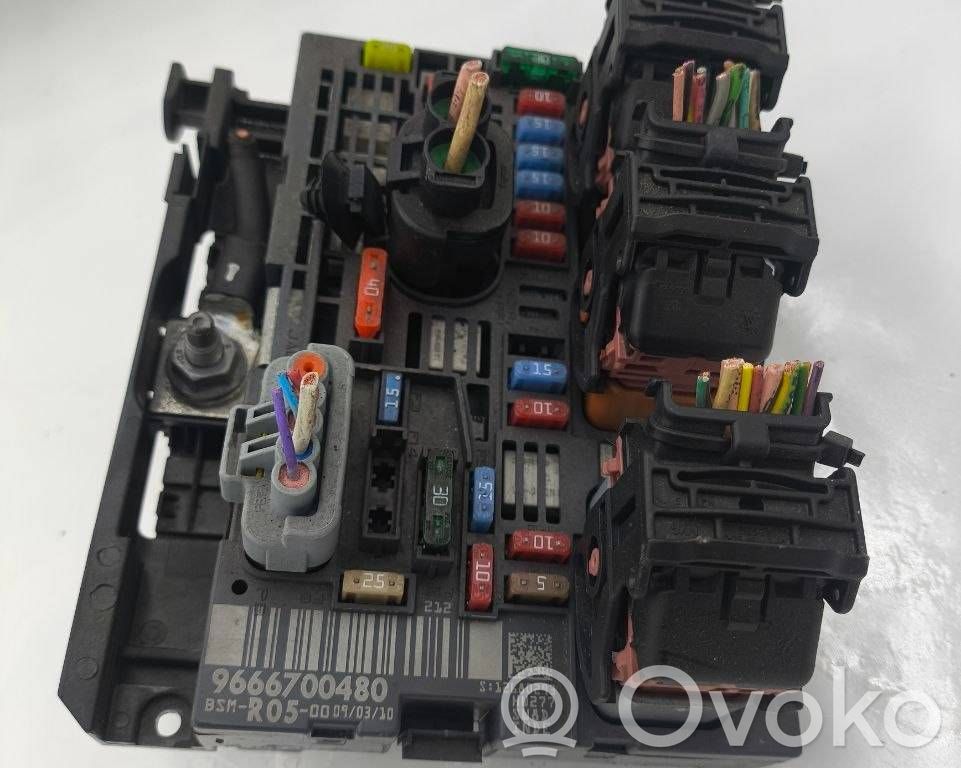 Fuse module   9666700480