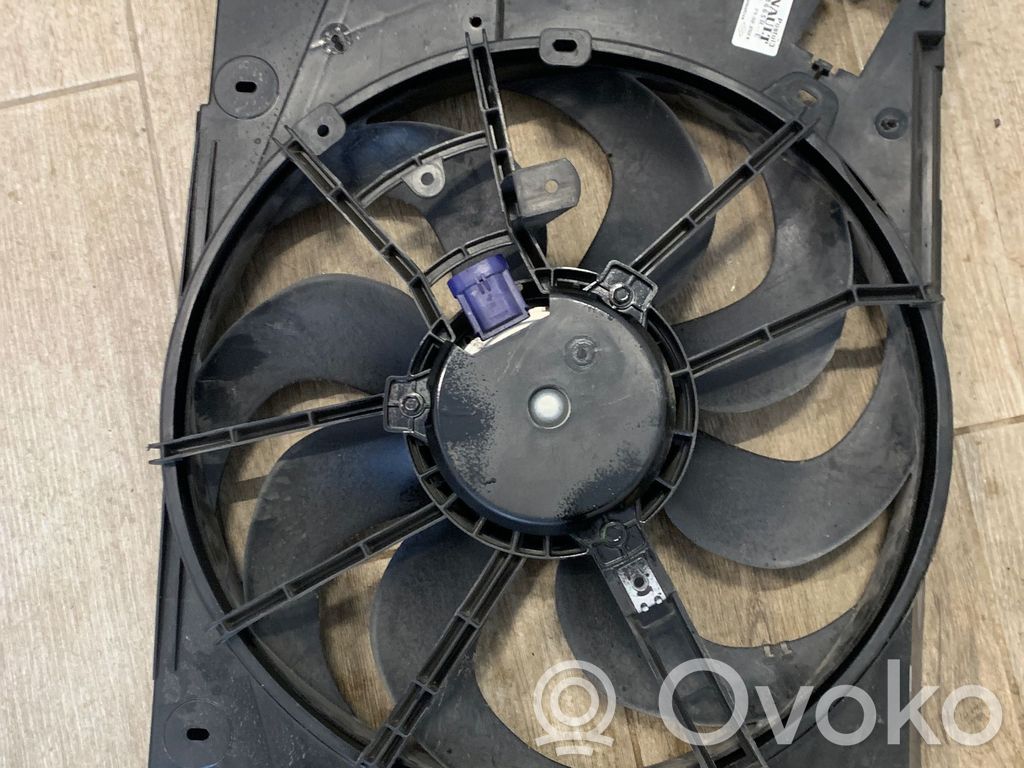 Elektrolüfter   214818665R,29022024,C0Q03424