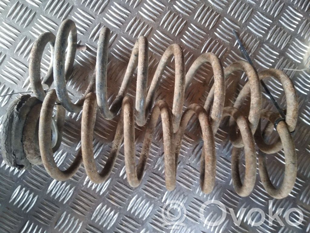 Rear coil spring