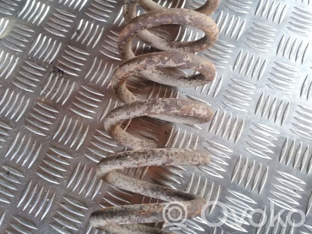 Front coil spring
