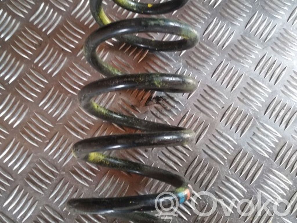 Front coil spring
