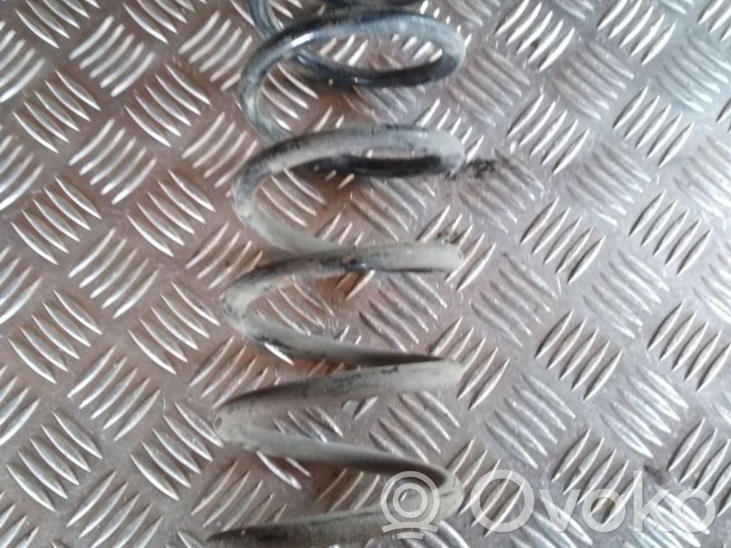 Feder hinten
