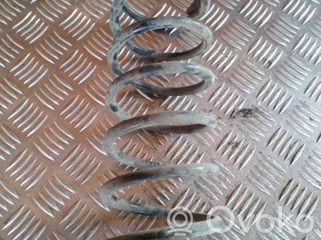 Rear coil spring