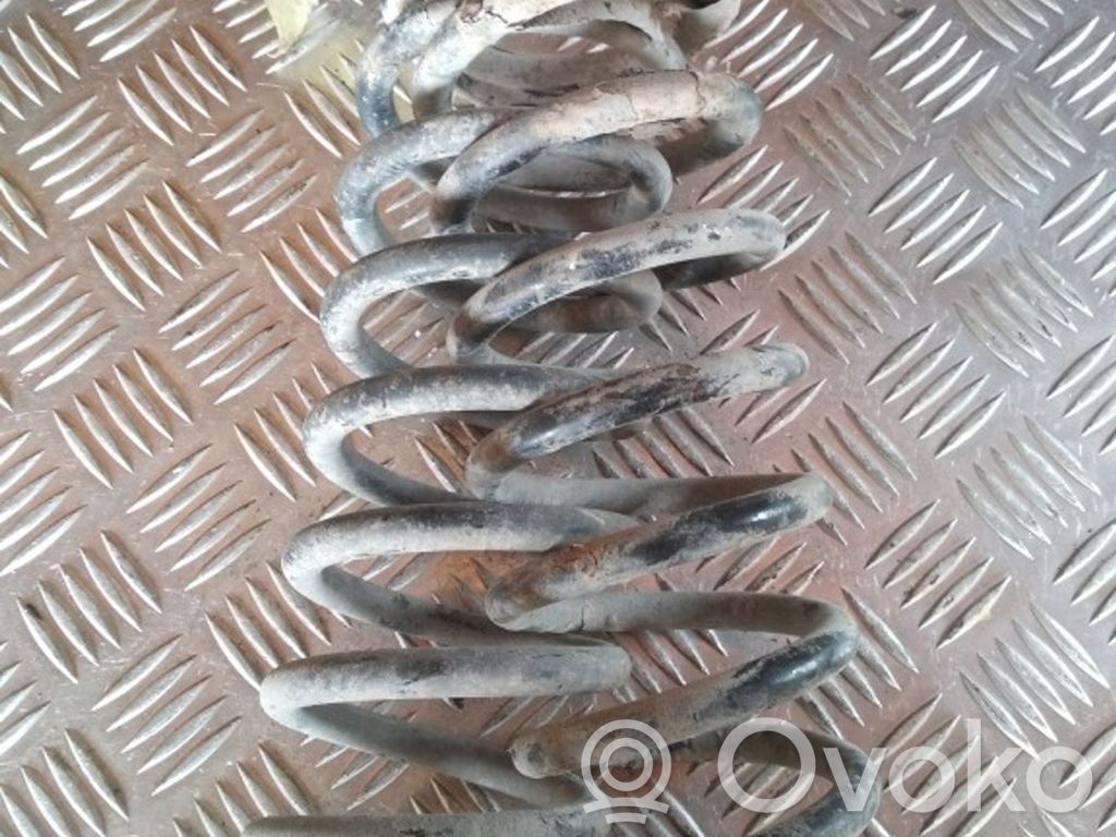 Rear coil spring