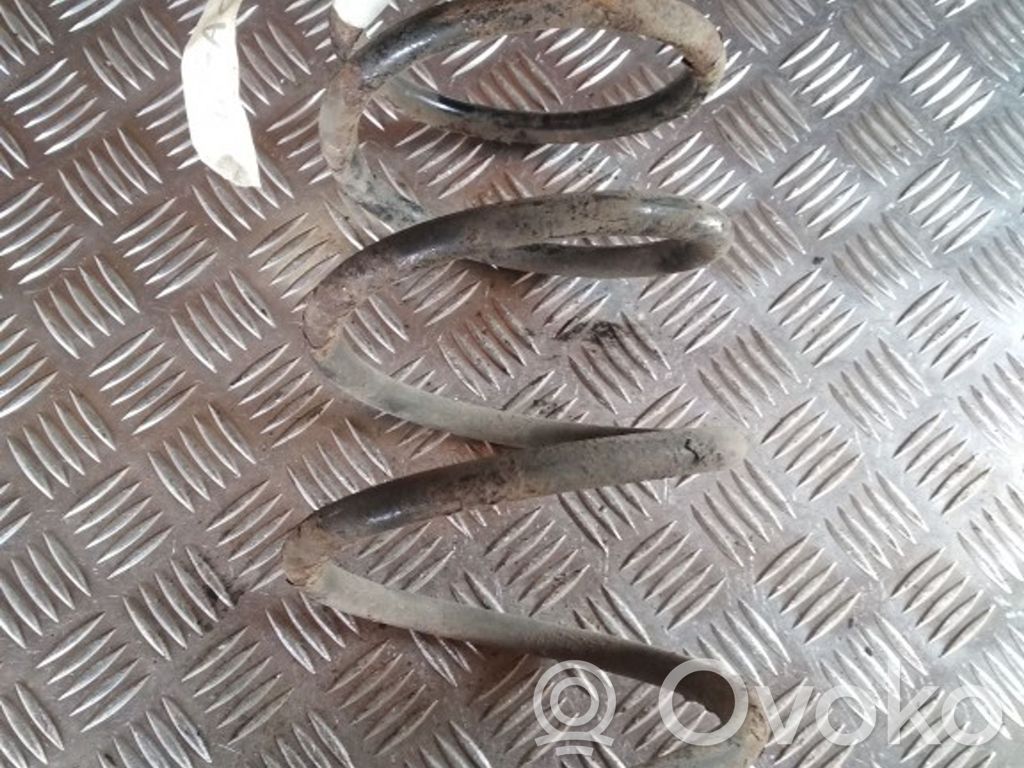 Rear coil spring