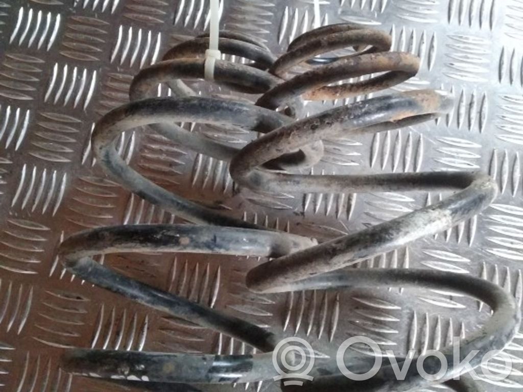 Rear coil spring