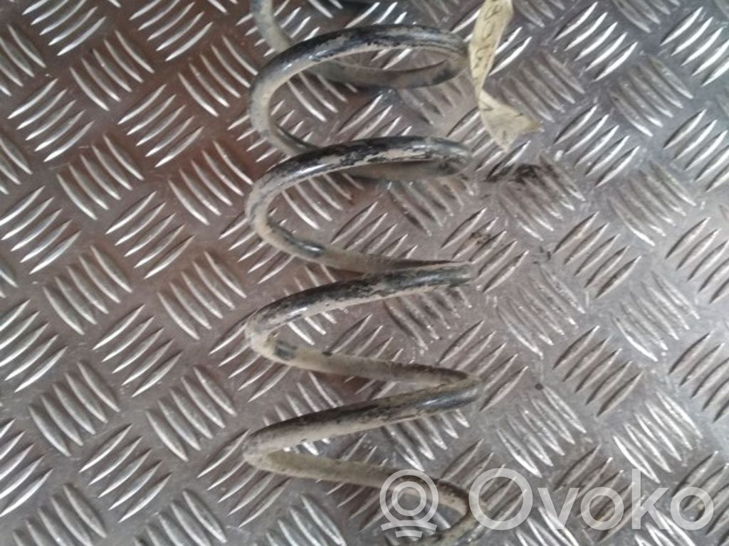 Rear coil spring