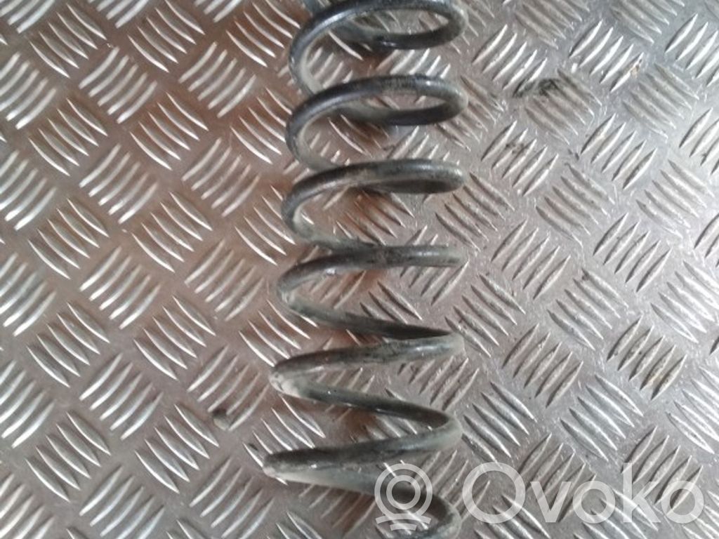 Rear coil spring