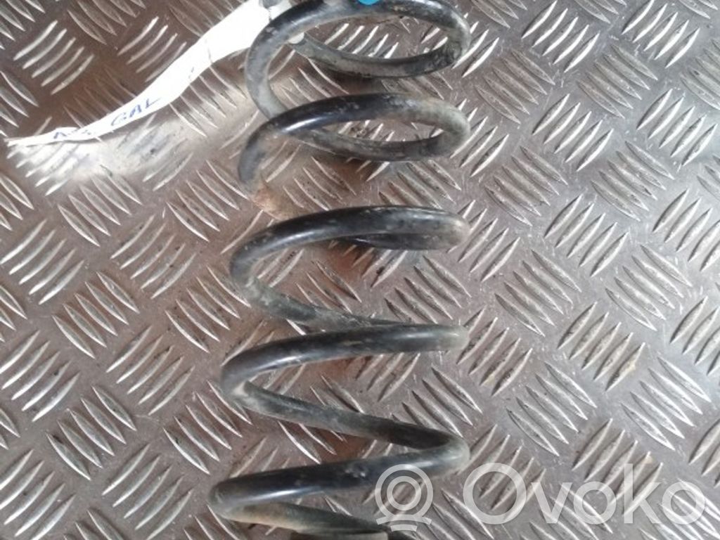 Rear coil spring