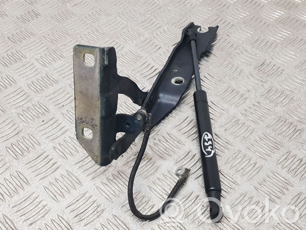 Amortizatorius variklio dangčio   23955,008728,41617
