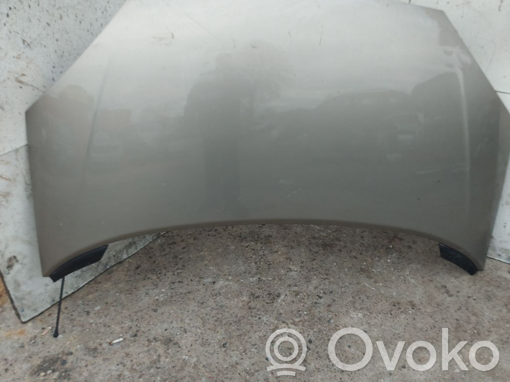 Engine bonnet/hood